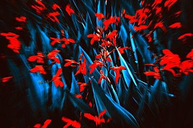 网传《GTA6》开发过程混乱 仍需数年时间才能面世