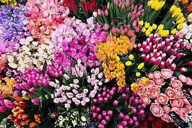 《死亡回归》主演：中年女性大杀四方的设定很重要